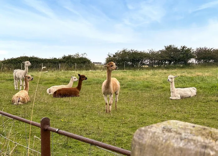 בית נופש Cleveden *